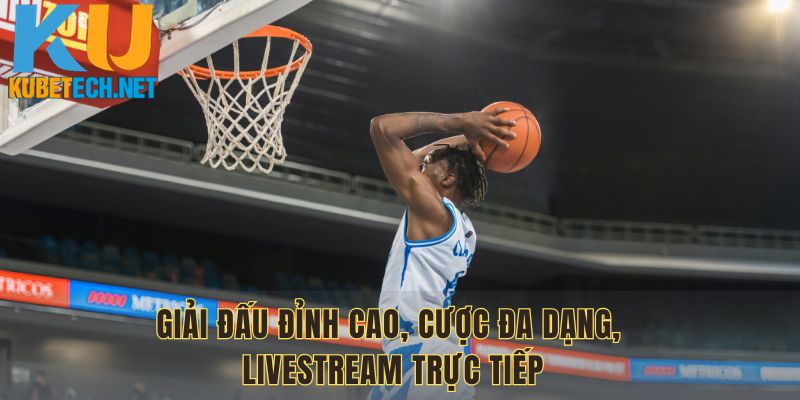 Giải đấu đỉnh cao, cược đa dạng, livestream trực tiếp