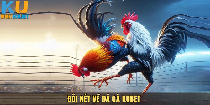 Giới thiệu đá gà Kubet