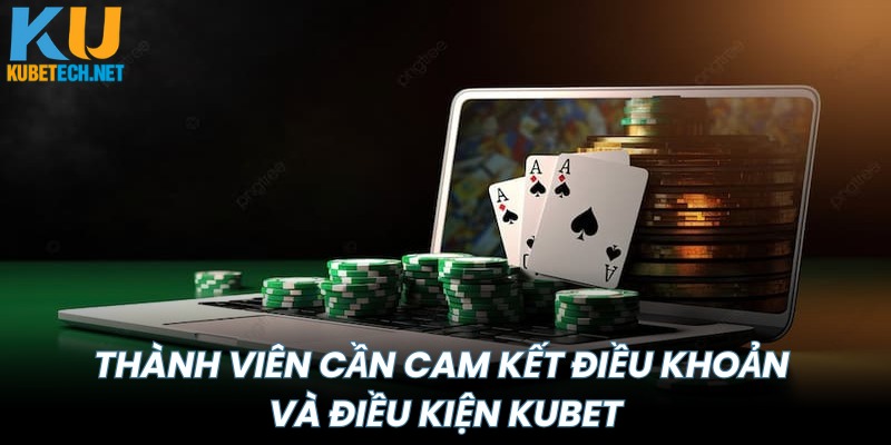Thành viên cần cam kết điều khoản và điều kiện tại KUBET